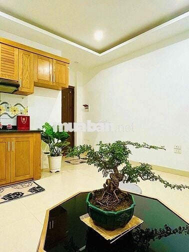 Bán 2 Căn CCMN Sổ Hồng Chung Thoáng Đẹp - Khương Đình, Ngã 4 Sở