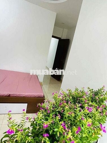 Bán 2 Căn CCMN Sổ Hồng Chung Thoáng Đẹp - Khương Đình, Ngã 4 Sở