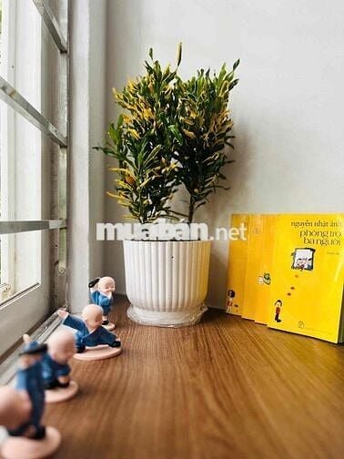 Bán 2 Căn CCMN Sổ Hồng Chung Thoáng Đẹp - Khương Đình, Ngã 4 Sở