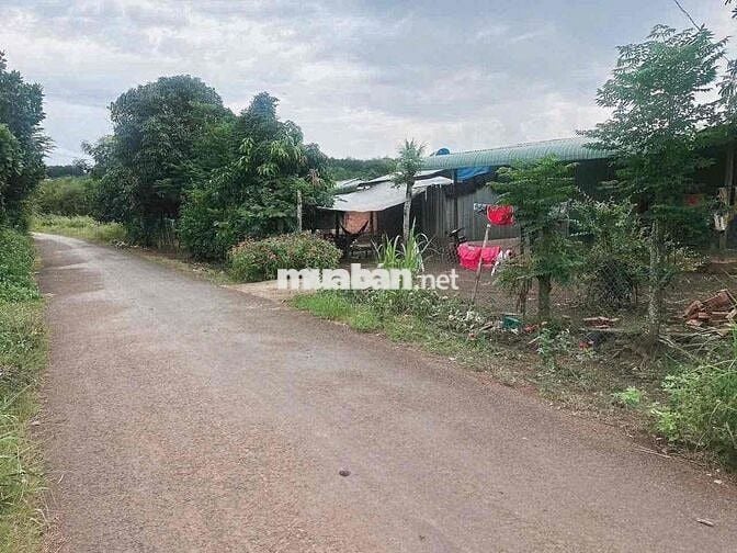 2 SÀO 5 – CÓ NHÀ CẤP 4 – MẶT TIỀN NHỰA  Co vườn trái cây các loại  Có