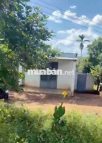 2 SÀO 5 – CÓ NHÀ CẤP 4 – MẶT TIỀN NHỰA  Co vườn trái cây các loại  Có