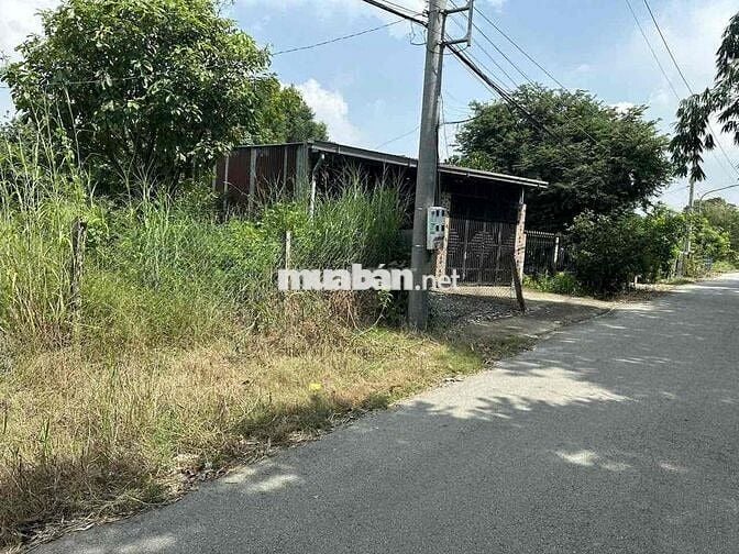 Ngân hàng thanh lý 1.374 m² đất mặt tiền tại Bến Cát, BD