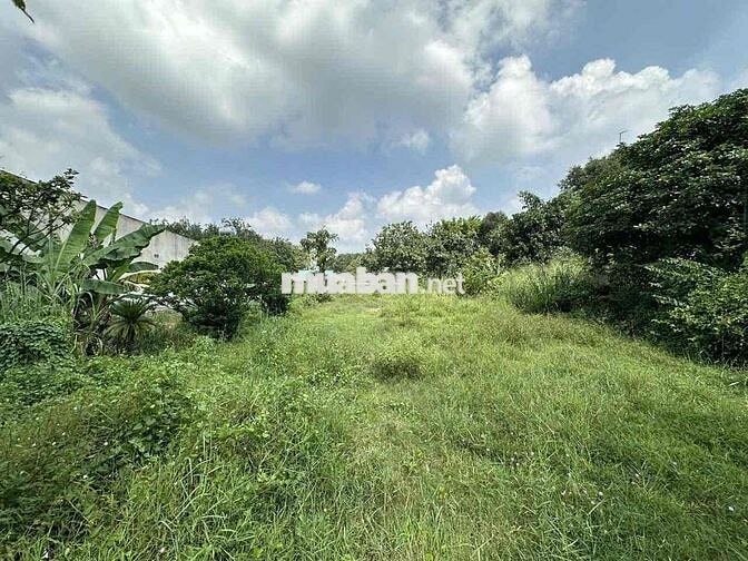 Ngân hàng thanh lý 1.374 m² đất mặt tiền tại Bến Cát, BD