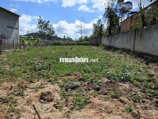 Đất thổ cư 5x24 ven TP.Buôn Ma Thuột,Đắc Lắc chỉ 390 triệu TL