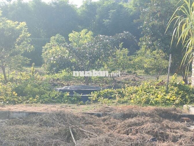 NHÀ VƯỜN NGHỈ DƯỠNG TẠI LONG HẢI HƠN 1.000M CÓ NHÀ C4 TIỆN NGHI ĐỦ.