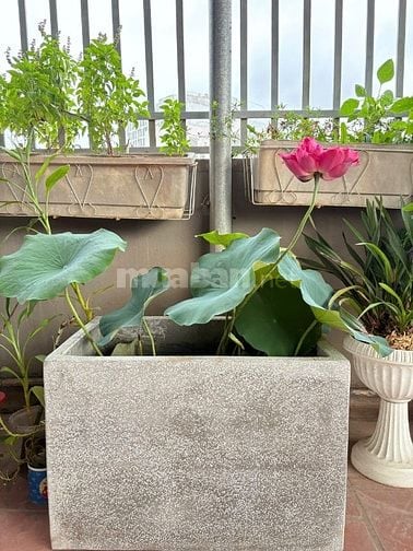 Chính chủ cho thuê nhà phù hợp làm Căn hộ gia đình, Văn phòng.