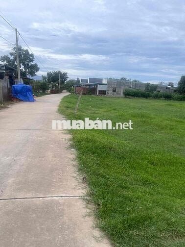 ĐẤT CHÍNH CHỦ CẦN BÁN GẤP LỘC HOÀ 2 ĐỨC HOÀ