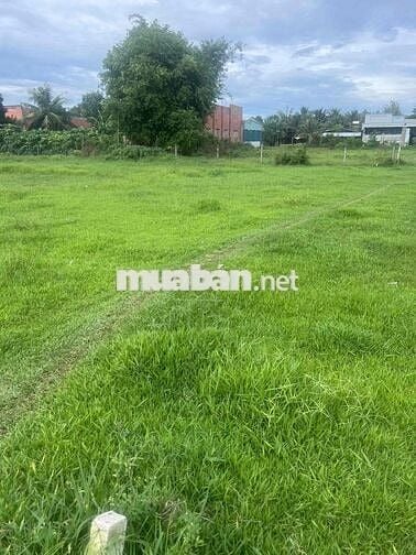 ĐẤT CHÍNH CHỦ CẦN BÁN GẤP LỘC HOÀ 2 ĐỨC HOÀ