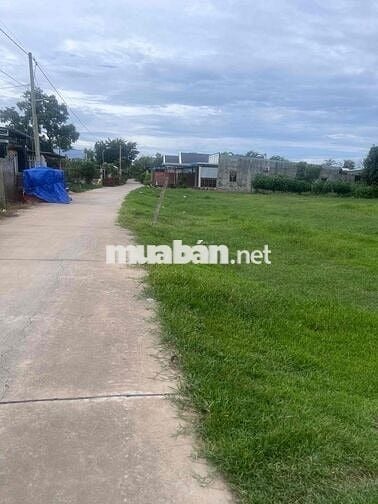 ĐẤT CHÍNH CHỦ CẦN BÁN GẤP LỘC HOÀ 2 ĐỨC HOÀ