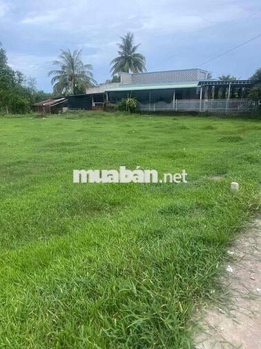 ĐẤT CHÍNH CHỦ CẦN BÁN GẤP LỘC HOÀ 2 ĐỨC HOÀ