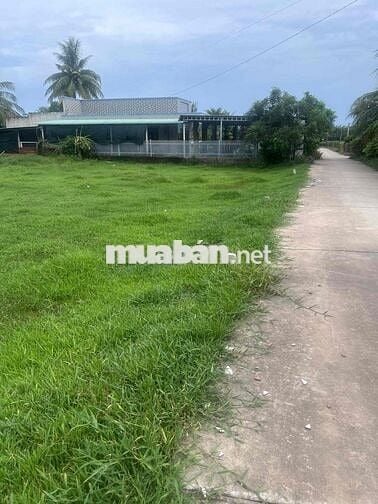 ĐẤT CHÍNH CHỦ CẦN BÁN GẤP LỘC HOÀ 2 ĐỨC HOÀ