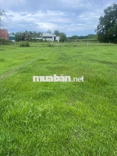 ĐẤT CHÍNH CHỦ CẦN BÁN GẤP LỘC HOÀ 2 ĐỨC HOÀ