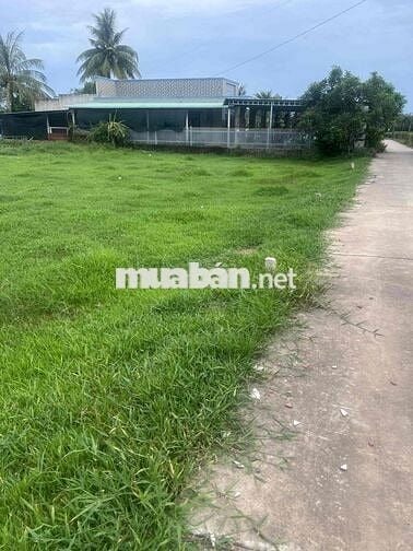 ĐẤT CHÍNH CHỦ CẦN BÁN GẤP LỘC HOÀ 2 ĐỨC HOÀ