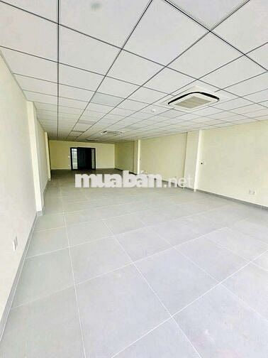 DT 8 x 25m 1 Hầm 6Lầu Thang Máy PCCC Cầu Thang Cuối Nhà Sàn Trống Suốt