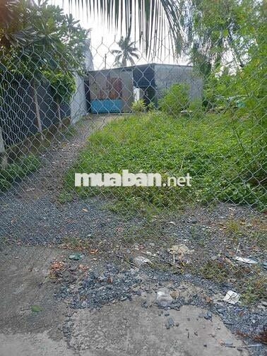 Bán đất đường cửa lớn xã tân quý tây huyện Bình Chánh