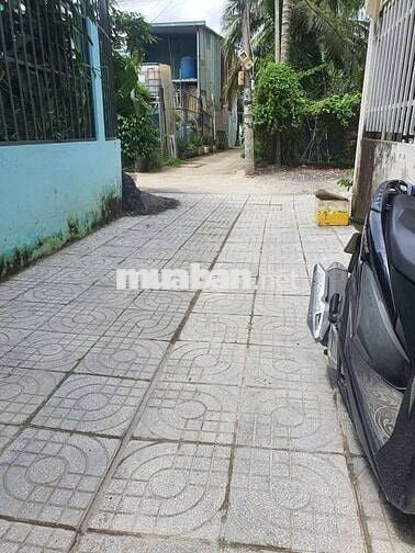 Cho thuê nhà nguyên căn mới tinh như hình cống 4, Thạnh Xuân 52