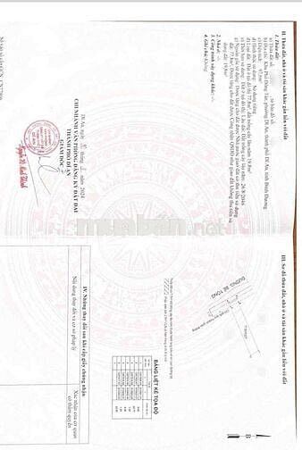 Bán gấp lô đất giá đầu tư 3.2tỷ /97.6m2 đường Phan Bội Châu p. Dĩ An