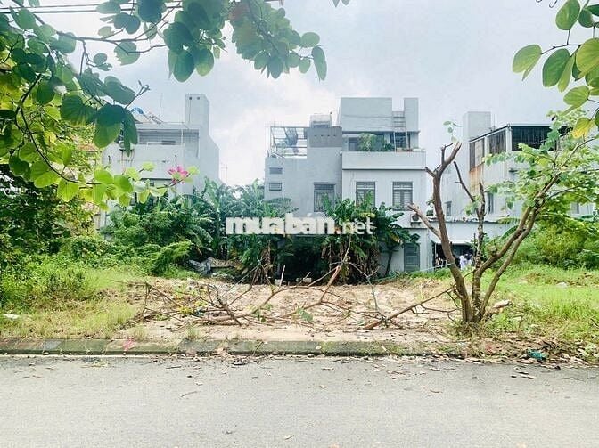 🔴💥 Đất mặt tiền Hòa Minh gần UB Quận, ĐH Bách Khoa | Sạch đẹp