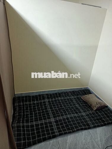 Tìm nam ở ghép bao điện nước trần đại nghĩa bình tân