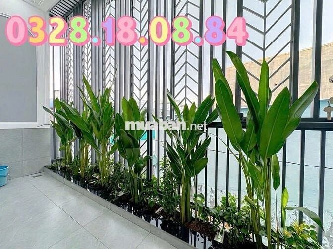 Nhỉnh 6 tỷ, 2 tầng 63m, gần Lotte, Quận 7, Him Lam, mới đẹp lung linh