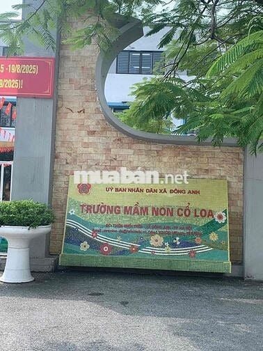 F0 NÓNG HỔI. CHỦ CẦN TIỀN XÂY NHÀ NÊN CẮT RA ĐỂ