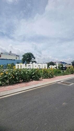 ✨️*** lô Đất đẹp, Xd tự do , đường nhựa ADV,AL