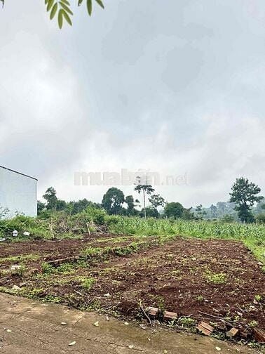 đất Ymoan phường BMT hẻm oto thông 5,1x19 - full thổ cư giá tốt 1T299