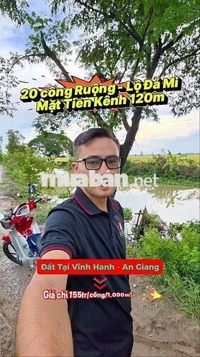 Đất ruộng đẹp, đất 3 vụ, xe 2 bánh tới đất