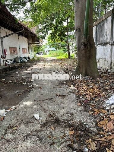 CHO THUÊ KHO BÃI NHÀ XƯỞNG MẶT TIỀN ĐƯỜNG PHAN ANH TỔNG DTSD 5400M2