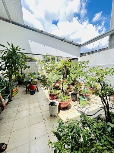 Hẻm xe tải 355m2 có nhà riêng 12CHDV thu 50tr/thg Phan Anh, Bình Tân