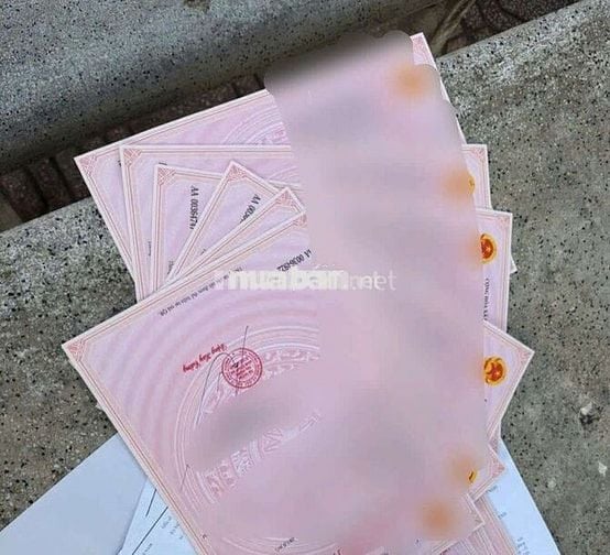 Nhà Thuận An, sổ hồng, 100% tiền: 475 triệu, có 4 căn đồng giá