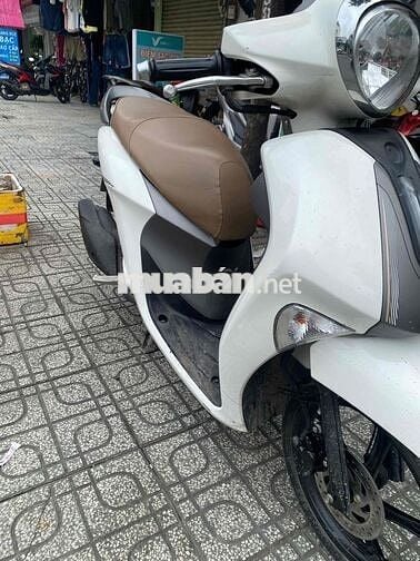 janus 2022 chính chủ