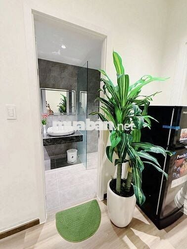 𝐁𝐫𝐢𝐠𝐡𝐭 𝐌𝐢𝐧𝐢𝐦𝐚𝐥𝐢𝐬𝐭 𝐒𝐭𝐮𝐝𝐢𝐨 – 𝟐 𝐦𝐢𝐧𝐬 𝐰𝐚𝐥𝐤 𝐭𝐨 𝐭𝐡𝐞 𝐁𝐞𝐚𝐜𝐡