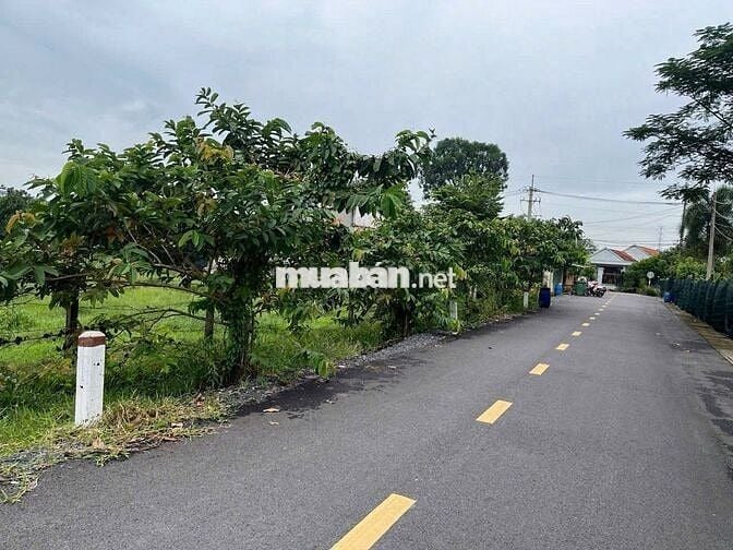 Bán gấp lô đất 127,5m² Ba Sa – nở hậu, cách QL22 5p đi xe chỉ 600tr!