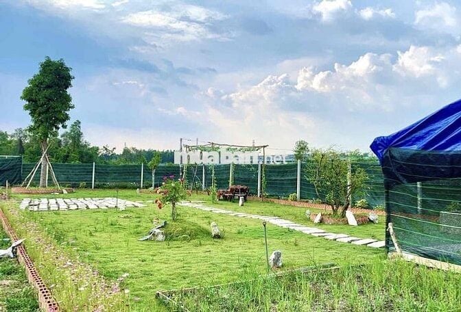 Đất thổ vườn Phước Vĩnh An Củ Chi 578m2 có 300m thổ Shr MT 12m