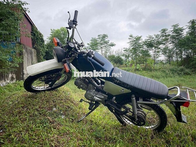 bán win detech độ dáng cào cào