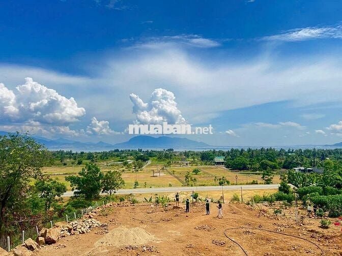 Còn Sót Lô Đất Đẹp Diện Tích 153m2 FULL Thổ Cư - Sát Vịnh Cam Ranh