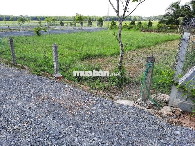 Bán gấp lô đất 127,5m² Ba Sa – nở hậu, cách QL22 5p đi xe chỉ 600tr!