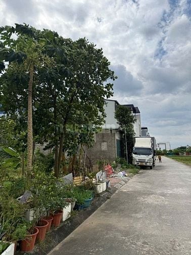 Cần Bán lô 86M Đất Đấu giá Mả Tre 2 Tại Xã Bình Minh, Hà Nội