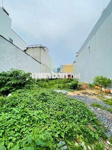 ĐẤT THỔ CƯ SỔ RIÊNG KHU TÊN LỬA