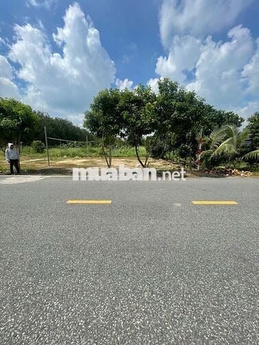 MT Bùi Thị Điệt 11x15 Thổ 100% 1tỷ450tr, sổ riêng,Nhựa 9m, vay hết đất