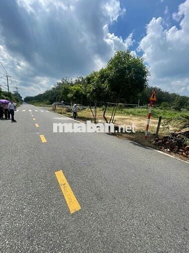 MT Bùi Thị Điệt 11x15 Thổ 100% 1tỷ450tr, sổ riêng,Nhựa 9m, vay hết đất