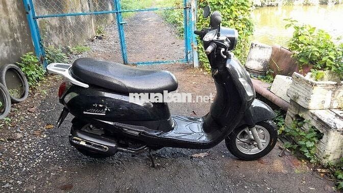 Elizabeth 2008 máy in giấy tờ đầy đủ bán tại nhà