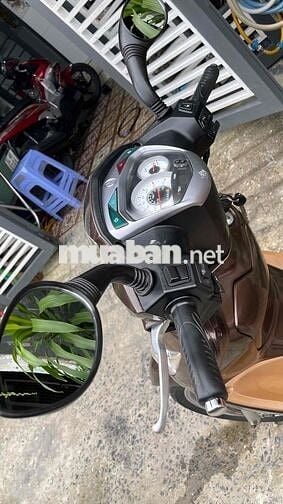 BÁN SHARK 125 hngx sym 2013 zin chính chủ ký liền