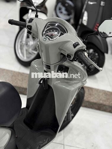 Vision 2024 Bánh Lớn Odo3k ( chính chủ ký ) 🔥🔥