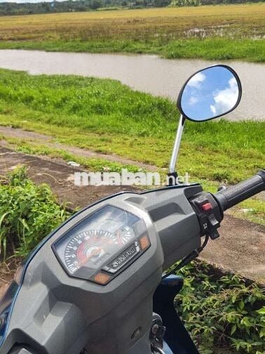 Xe viva cọp 67 ngàn cây