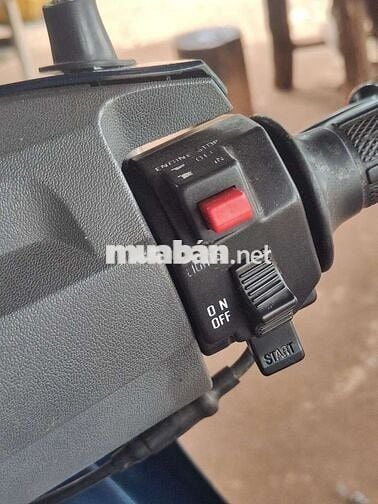 Xe viva cọp 67 ngàn cây