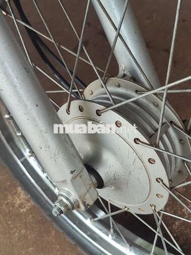 Xe viva cọp 67 ngàn cây