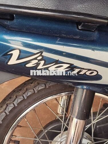 Xe viva cọp 67 ngàn cây