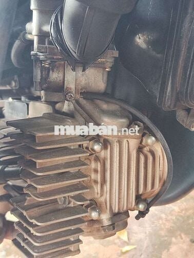 Xe viva cọp 67 ngàn cây